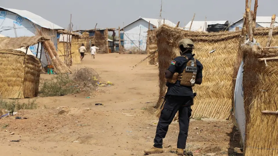 الجيش السوداني يعلن السيطرة على مدينة الكرمك بالنيل الأزرق