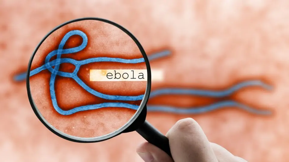 واشنطن تخطط لإنشاء حجر صحي في كينيا للأميركيين المعرضين لإيبولا